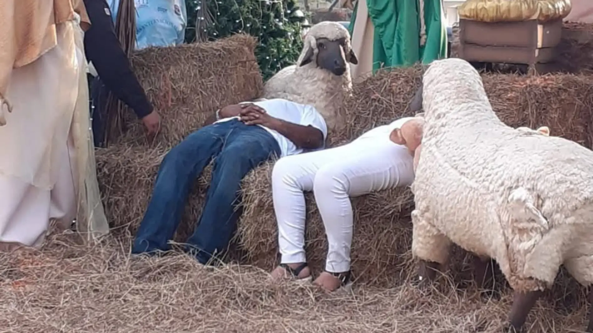 Una pareja fue encontrada durmiendo en el pesebre monumental de Tampico Guardia Estatal